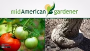 Mid-American Gardener With Jennifer Nelson - July 30th, 2015