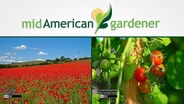 Mid-American Gardener With Dianne Noland - Sept 24th, 2015