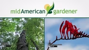 Mid-American Gardener With Dianne Noland - Oct 8th, 2015