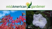 Mid-American Gardener With Dianne Noland - Oct 22th, 2015
