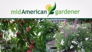 Mid-American Gardener with David Robson - January 14, 2016