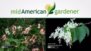 Mid-American Gardener with Dianne Noland - January 28, 2016