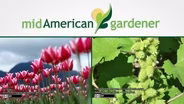 Mid-American Gardener with Jennifer Nelson - March 24, 2016