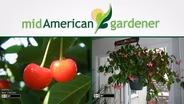 Mid-American Gardener with Dianne Noland - March 31, 2016