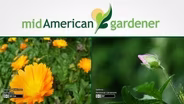 Mid-American Gardener with Dianne Noland - April 14, 2016