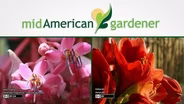 Mid-American Gardener with Dianne Noland - April 21, 2016