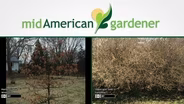 Mid-American Gardener with Dianne Noland - May 5, 2016