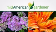 Mid-American Gardener with Sandy Mason - May 12, 2016
