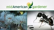 Mid-American Gardener with Dianne Noland - May 26, 2016