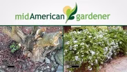 Mid-American Gardener with Dianne Noland - June 2, 2016