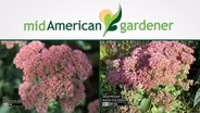 Mid-American Gardener with Dianne Noland - June 16, 2016