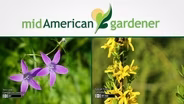 Mid-American Gardener with Dianne Noland - June 30, 2016