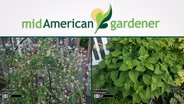 Mid-American Gardener with Dianne Noland - July 7, 2016
