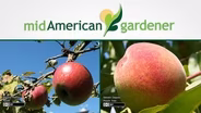 Mid-American Gardener with Dianne Noland - July 14, 2016