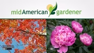 Mid-American Gardener with Dianne Noland - August 25, 2016 