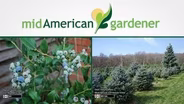 Mid-American Gardener with Dianne Noland - September 8, 2016