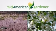 Mid-American Gardener with Dianne Noland - October 6, 2016