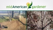 Mid-American Gardener with Dianne Noland November 10, 2016