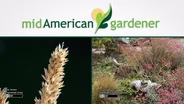 Mid-American Gardener with Dianne Noland January 5, 2017