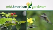 Mid-American Gardener with Dianne Noland February 2, 2017