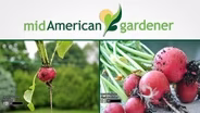 Mid-American Gardener with Dianne Noland March 2, 2017