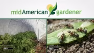 Mid-American Gardener with Dianne Noland March 16, 2017