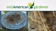 Mid-American Gardener with Dianne Noland April 20, 2017