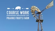 Course Work: Dinner Season at Prairie Fruits Farm