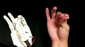 Video thumbnail: WILL SciTech Now SciTech Now Episode 229