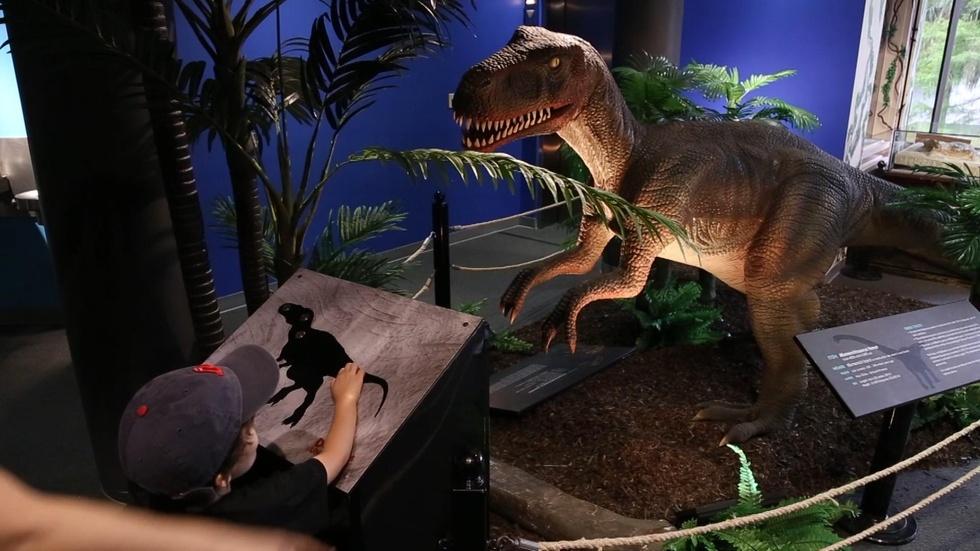 Dinosaurs Unearthed image
