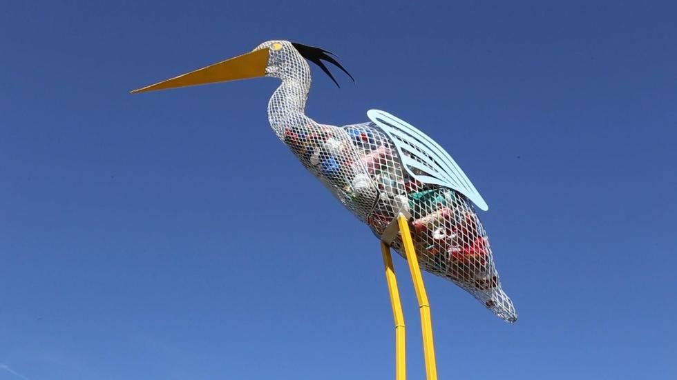 Golden Isles Litter Prevention Project image