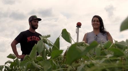 Video thumbnail: ncIMPACT How "Resilient Agriculture" creates a sustainable future