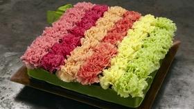Video thumbnail: J Schwanke's Life In Bloom Carnations, Family & Flowers