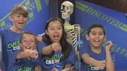 Skeletal System | Ep. 306