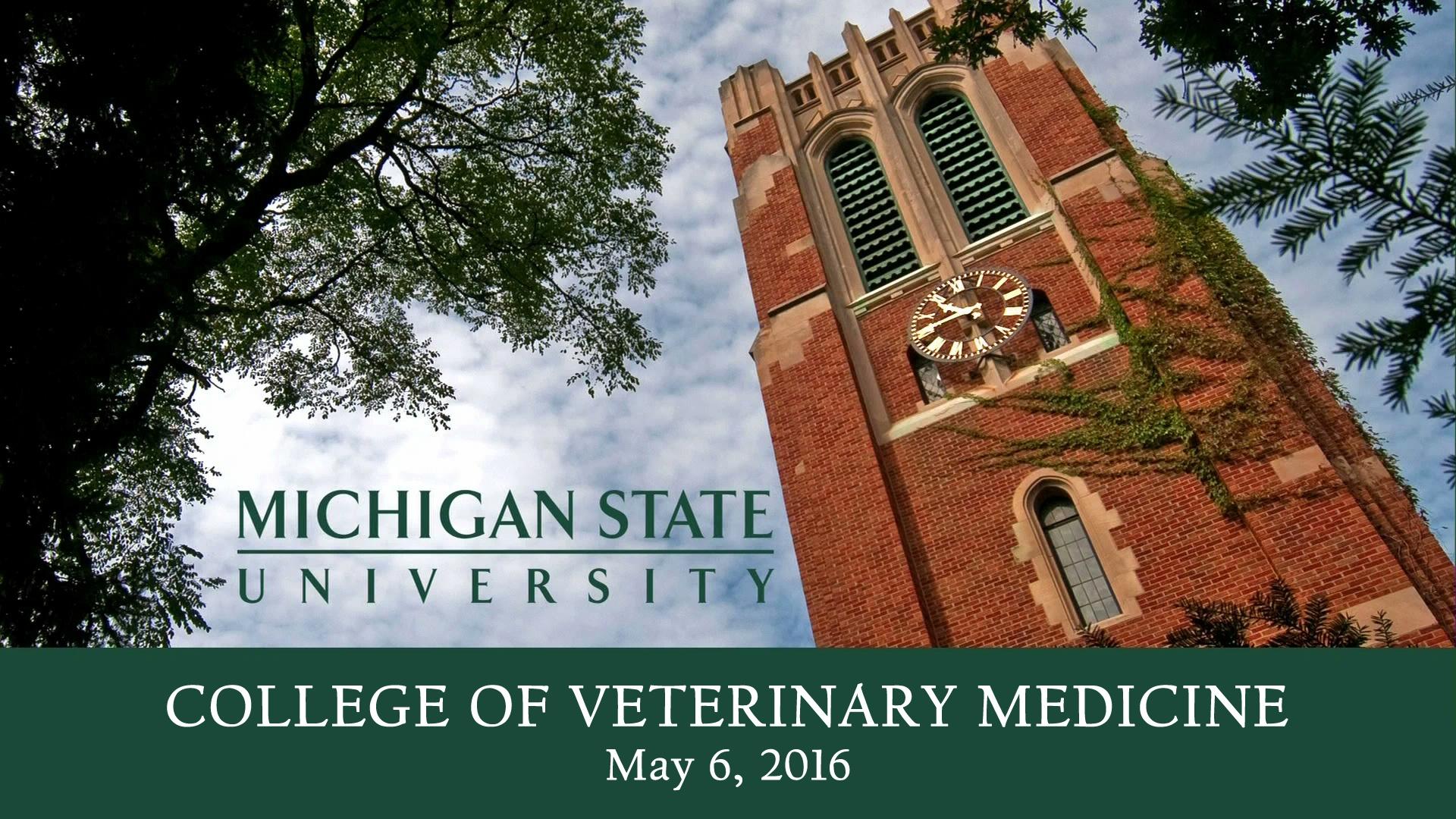 2016 College Of Veterinary Medicine Commencement Msu Commencements Pbs 5644