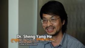 Video thumbnail: MSU Video Sheng Yang He - University Distinguished Professor