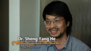 Sheng Yang He - University Distinguished Professor