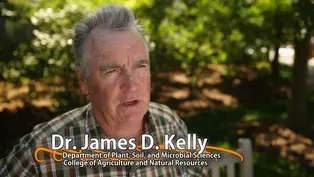 James D. Kelly - University Distinguished Professor