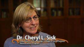 Video thumbnail: MSU Video Cheryl L. Sisk - University Distinguished Professor