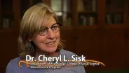 Cheryl L. Sisk - University Distinguished Professor