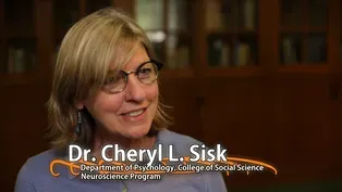 Cheryl L. Sisk - University Distinguished Professor