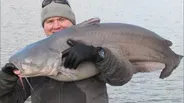 The Return of Blue Catfish