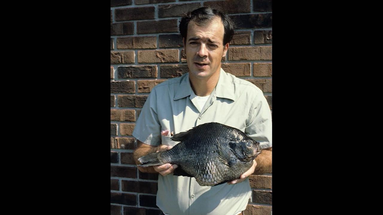 Kentucky Afield  Bluegill Record Holder Recalls Catch of a