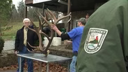 It's Elk Season!