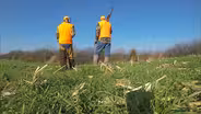 Rabbit Hunting with Denny Crum