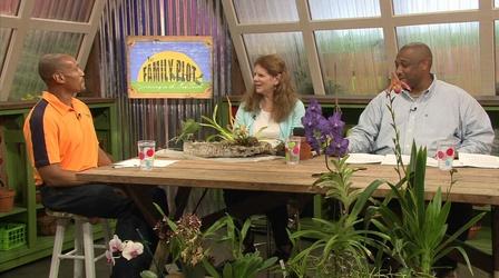 Video thumbnail: The Family Plot Growing Orchids and Fall Vegetable Gardening