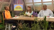 Growing Orchids and Fall Vegetable Gardening