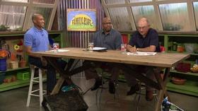 Video thumbnail: The Family Plot Fall and Winter Lawn Care