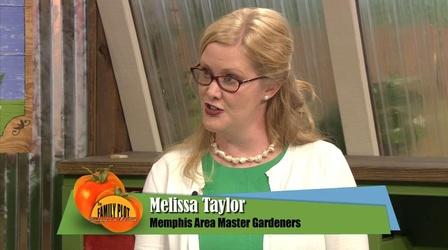 Video thumbnail: The Family Plot How to Become A Master Gardener