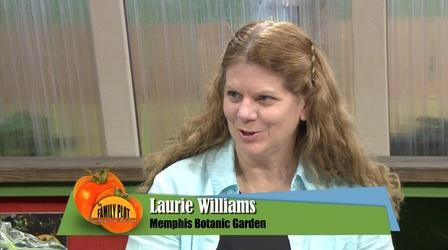 Video thumbnail: The Family Plot Bringing Plants Indoors
